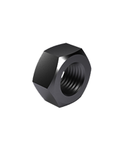 gajka-gost-1